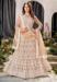 Picture of Fine Net Beige Lehenga Choli