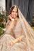 Picture of Fine Net Beige Lehenga Choli