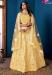 Picture of Ravishing Net Khaki Lehenga Choli