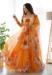 Picture of Silk & Organza Dark Golden Rod Readymade Gown