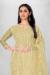 Picture of Organza Burly Wood Straight Cut Salwar Kameez