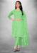 Picture of Organza Light Green Straight Cut Salwar Kameez