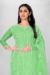 Picture of Organza Light Green Straight Cut Salwar Kameez