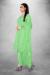 Picture of Organza Light Green Straight Cut Salwar Kameez