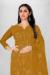 Picture of Admirable Organza Chocolate Straight Cut Salwar Kameez