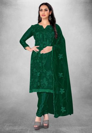 Picture of Organza Dark Green Straight Cut Salwar Kameez