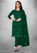 Picture of Organza Dark Green Straight Cut Salwar Kameez