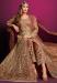 Picture of Pleasing Net Dark Khaki Straight Cut Salwar Kameez