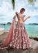 Picture of Sublime Net & Organza Sienna Lehenga Choli