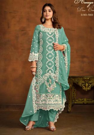 Picture of Organza Cadet Blue Straight Cut Salwar Kameez