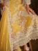 Picture of Ravishing Organza Peru Straight Cut Salwar Kameez