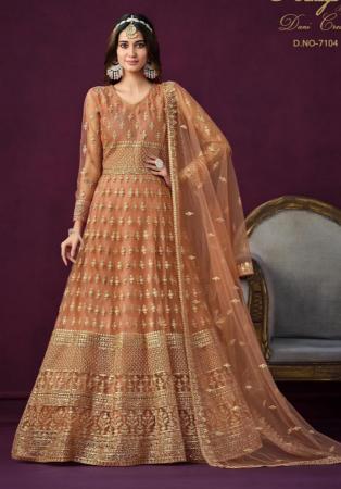 Picture of Statuesque Net Sienna Anarkali Salwar Kameez