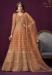 Picture of Statuesque Net Sienna Anarkali Salwar Kameez