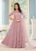 Picture of Ideal Net Thistle Anarkali Salwar Kameez