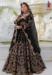 Picture of Bewitching Chiffon Black Lehenga Choli