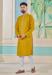 Picture of Splendid Chiffon Golden Rod Kurtas