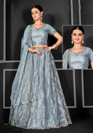 Picture of Elegant Net Light Slate Grey Lehenga Choli