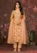 Picture of Delightful Organza Beige Straight Cut Salwar Kameez