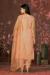 Picture of Delightful Organza Beige Straight Cut Salwar Kameez