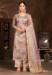 Picture of Chiffon Rosy Brown Straight Cut Salwar Kameez