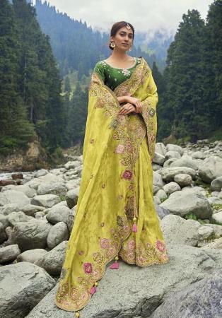 Picture of Sightly Silk Khaki Saree