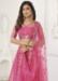 Picture of Sublime Net Pink Lehenga Choli