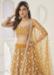 Picture of Sightly Net Sienna Lehenga Choli