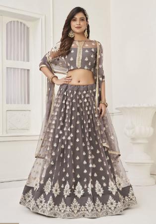 Picture of Pretty Net Grey Lehenga Choli