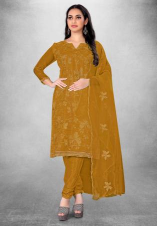 Picture of Admirable Organza Chocolate Straight Cut Salwar Kameez