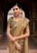 Picture of Well Formed Crepe & Silk Dark Khaki Saree