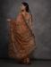 Picture of Pleasing Georgette Sienna Saree