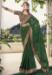 Picture of Appealing Georgette Sea Green Saree