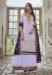 Picture of Georgette Light Steel Blue Straight Cut Salwar Kameez