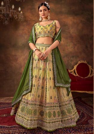 Picture of Georgette & Organza Dark Khaki Lehenga Choli