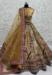 Picture of Alluring Net Sienna Lehenga Choli