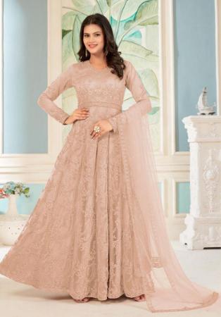 Picture of Grand Net Tan Straight Cut Salwar Kameez