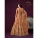 Picture of Statuesque Net Sienna Anarkali Salwar Kameez