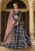 Picture of Nice Silk Dark Slate Grey Lehenga Choli