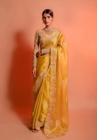 Picture of Enticing Silk & Organza Sandy Brown Saree