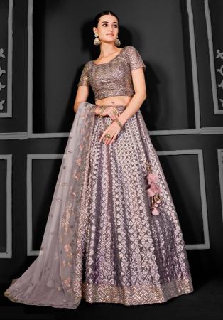 Picture of Splendid Net Silver Lehenga Choli