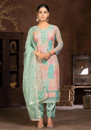 Picture of Rayon & Organza Cadet Blue Straight Cut Salwar Kameez