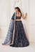 Picture of Sightly Net Black Lehenga Choli