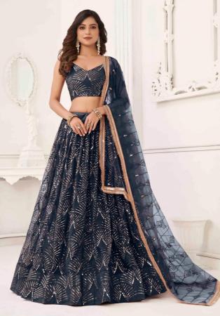 Picture of Radiant Net Navy Blue Lehenga Choli