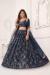 Picture of Radiant Net Navy Blue Lehenga Choli