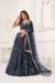 Picture of Radiant Net Navy Blue Lehenga Choli