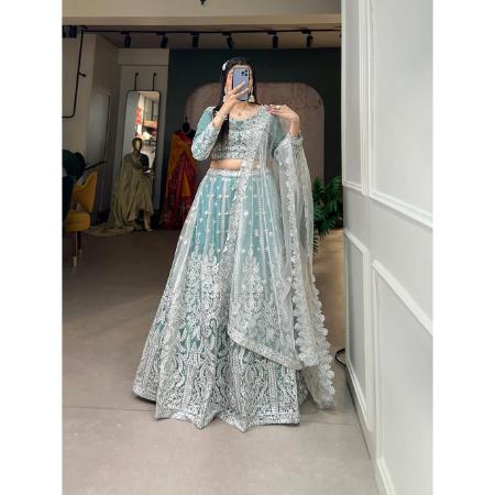 Picture of Radiant Net Cadet Blue Lehenga Choli