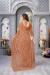 Picture of Graceful Chiffon Tan Saree