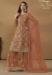 Picture of Comely Net Sienna Straight Cut Salwar Kameez