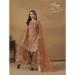 Picture of Comely Net Sienna Straight Cut Salwar Kameez