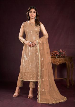 Picture of Comely Net Tan Straight Cut Salwar Kameez